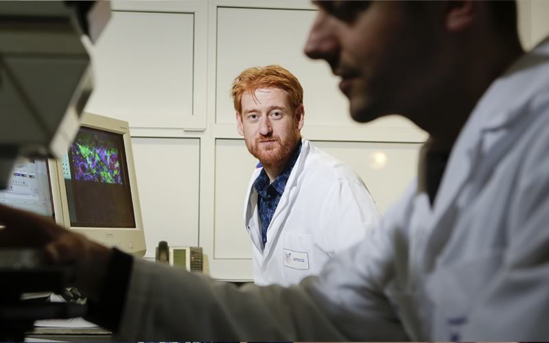 Patrick van Rijn