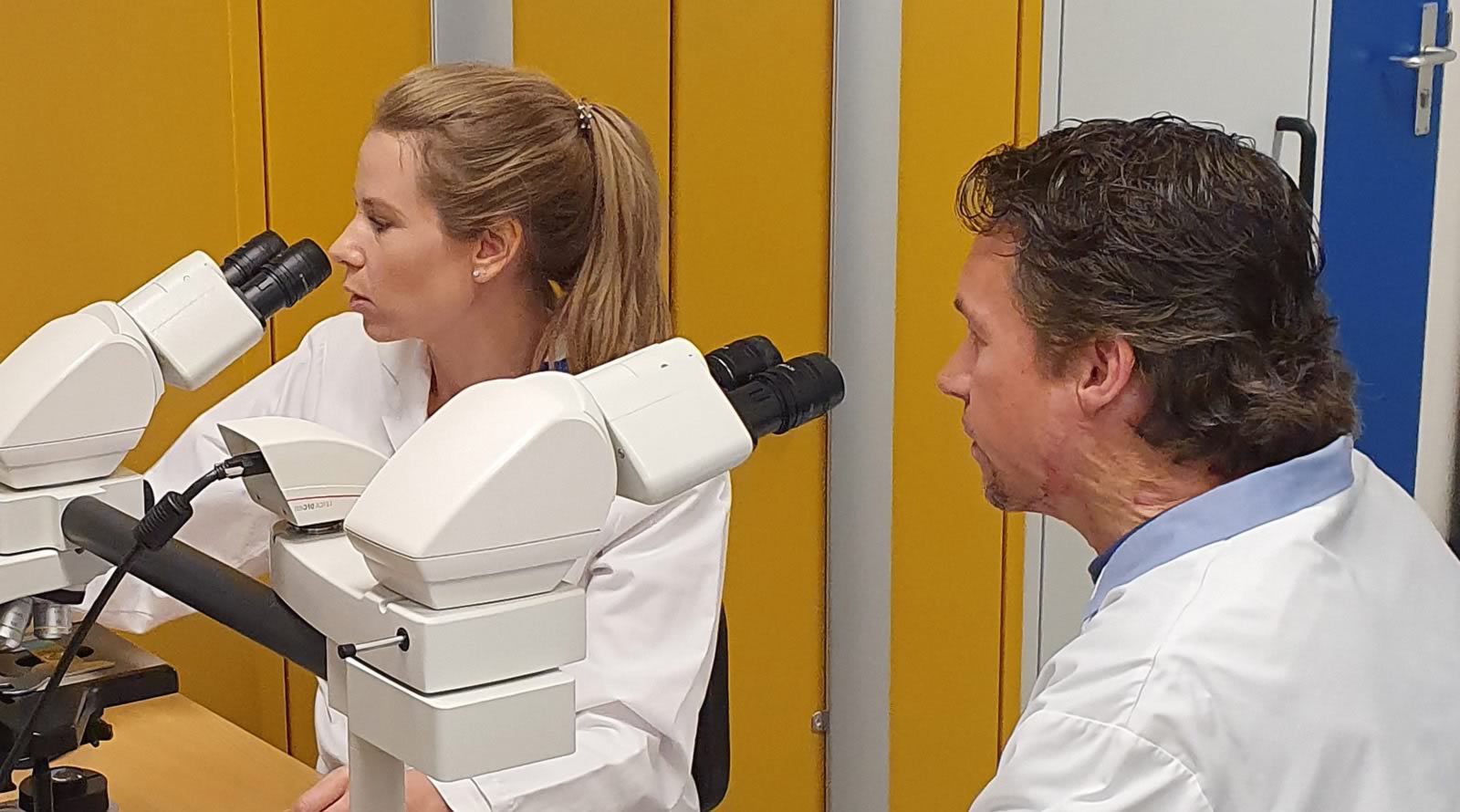 Linda Vriend kijkt in microscoop