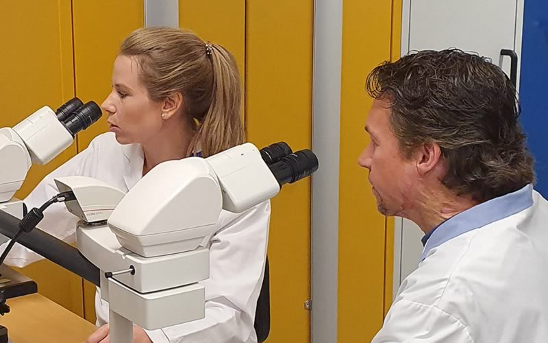 Linda Vriend kijkt in microscoop