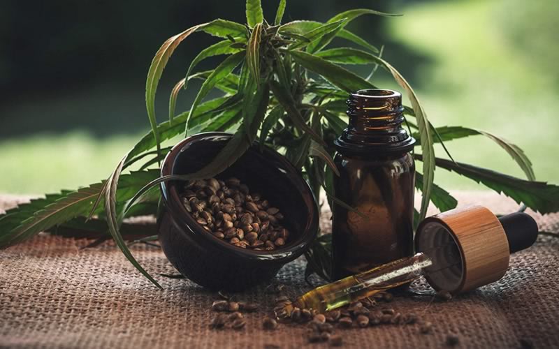 Cannabisplant